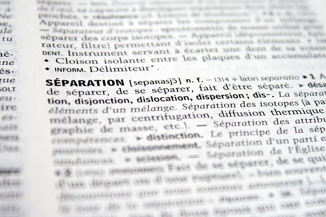 Brug af ordbøger og online hjælpemidler til krydsord