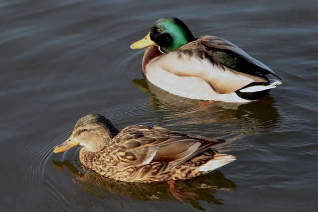 Sådan knækker du koden: 7 smarte teknikker til krydsord